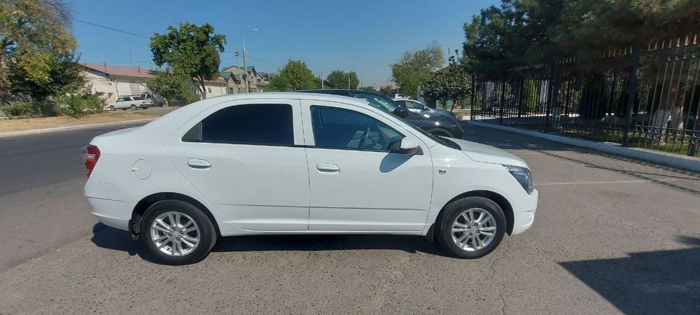Cobalt top toza 2022