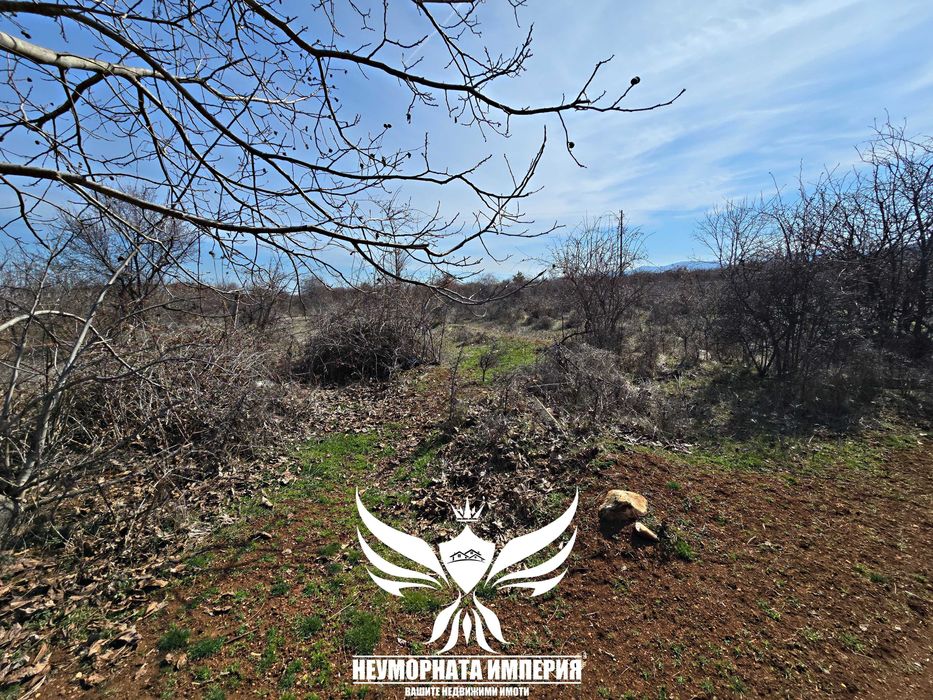 Продавам земя 2800кв.м. в с.Мулдава, общ.Асеновград на два пътя