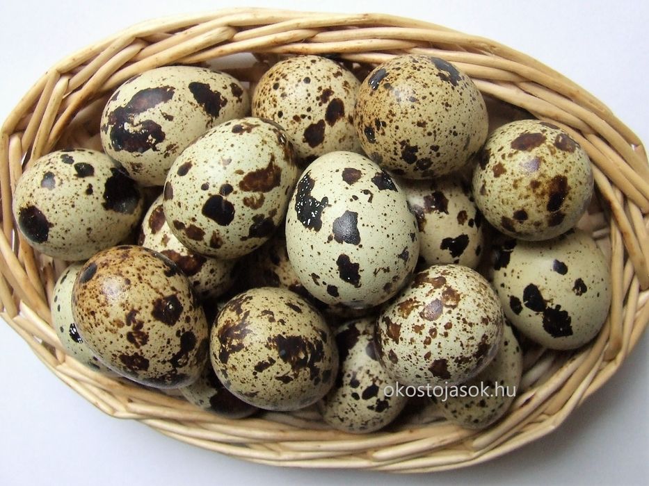 Ouă de prepelite