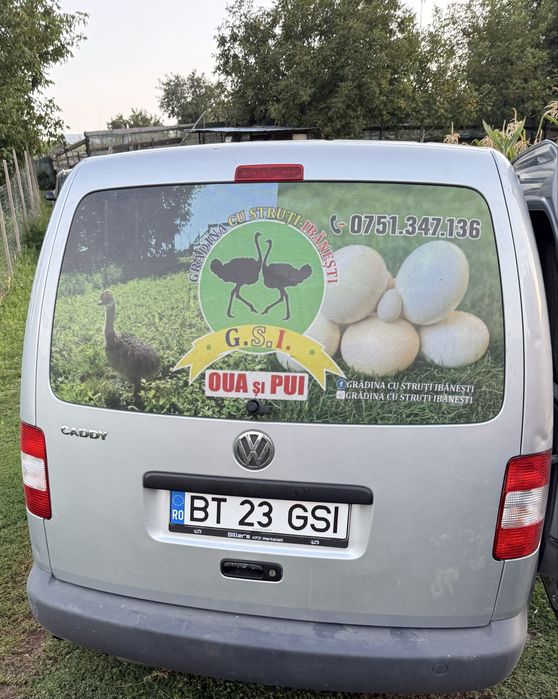 Puisori de struti 30zile