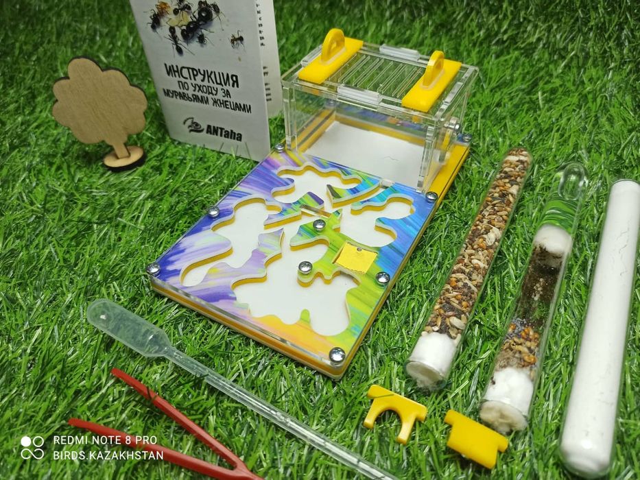 Муравьиная ферма от 5500. В наличии в городе АЛМАТЫ!