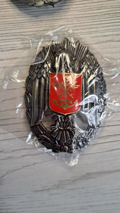 Insigna Academie Militara