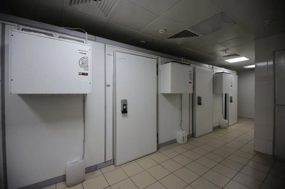 Холодильные морозильные камеры