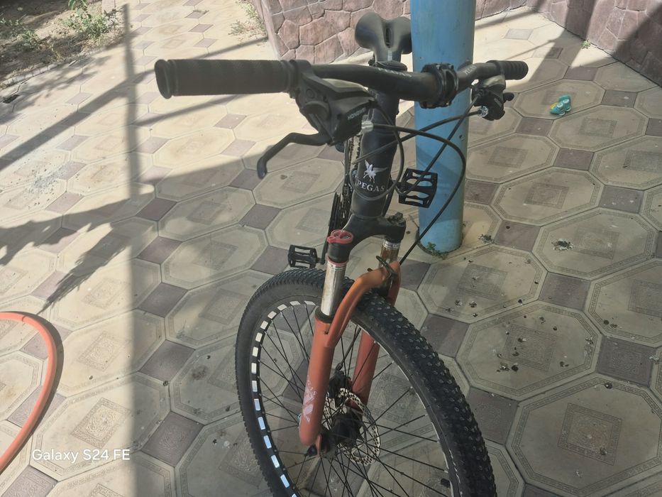 велосипед пегас.
