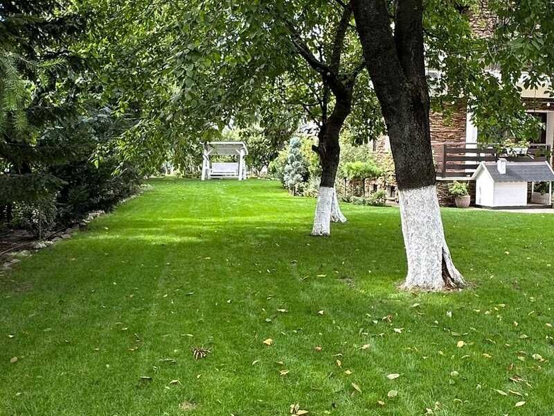 Amenajări și întreținere grădini, defrișare terenuri, tuns gazon, toaletare copaci — București-Ilfov