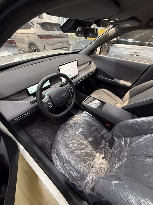 Dong Feng Nammi 06 401 km