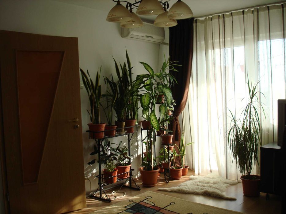 Apartament 2 camere de inchiriat proprietar - Dristor