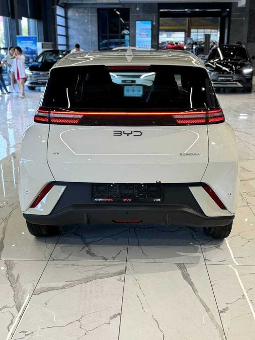 Byd seagull naqd va halol nasiya