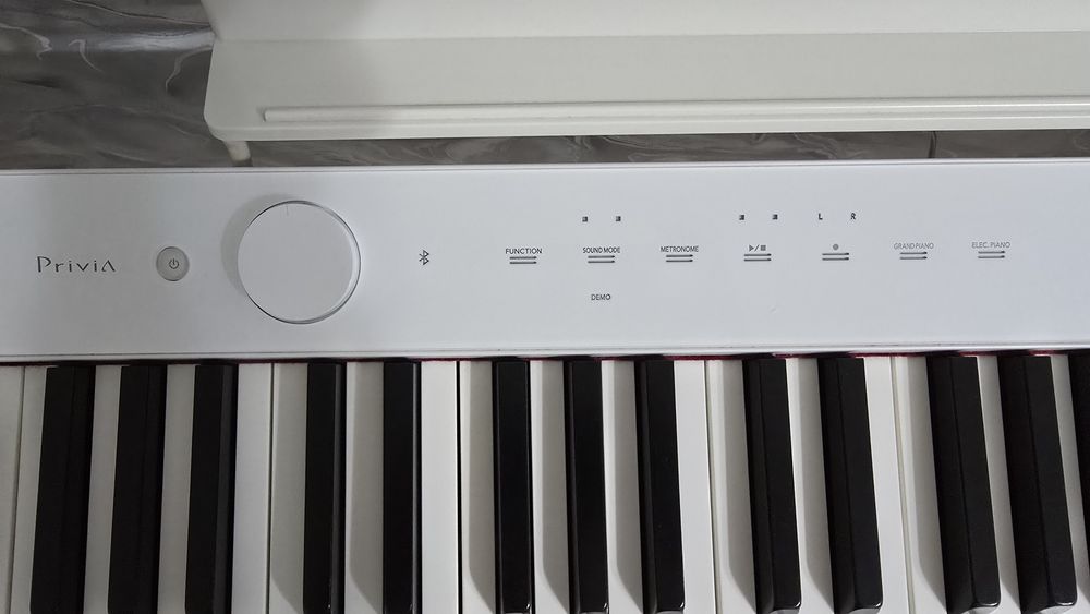 Цифровое пианино Casio Privia PX-S1000