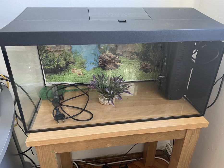 Acvariu mare cu accesorii