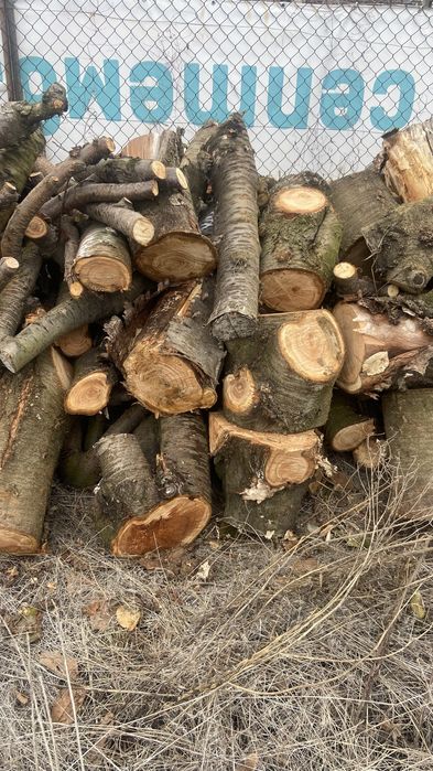 ДЪРВА ЗА ОГРЕВ подходящи за камина и др.