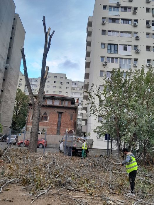 Debarasare evacure mobila moloz renovare