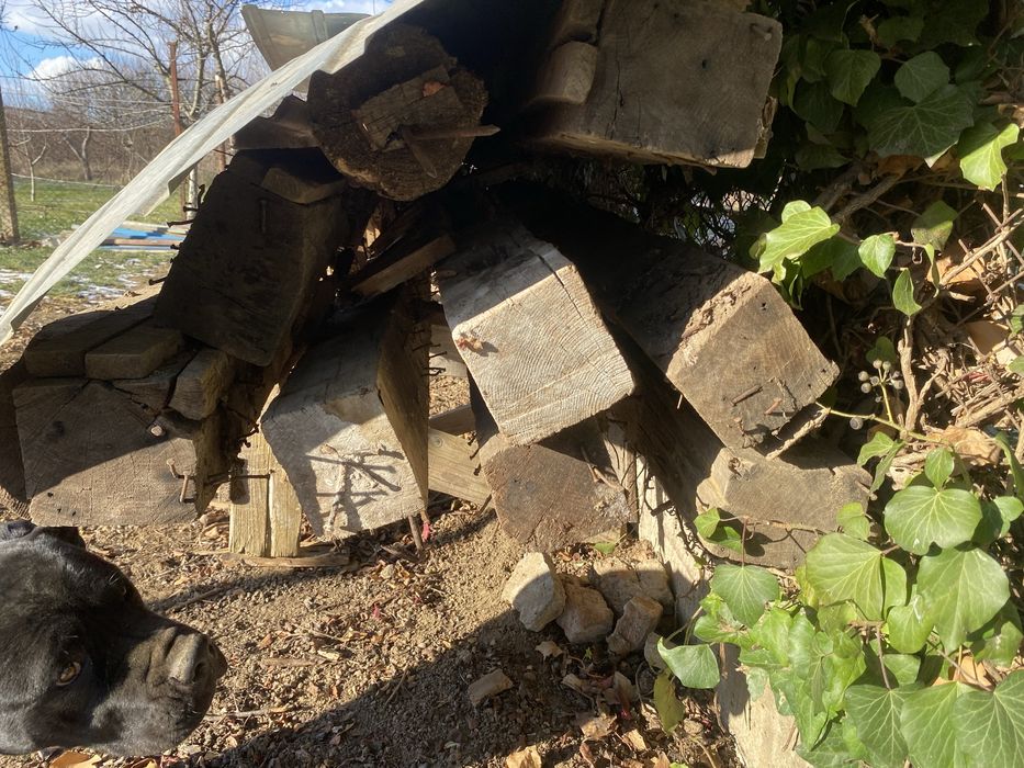 Grinzi de steja 10x12;12x12