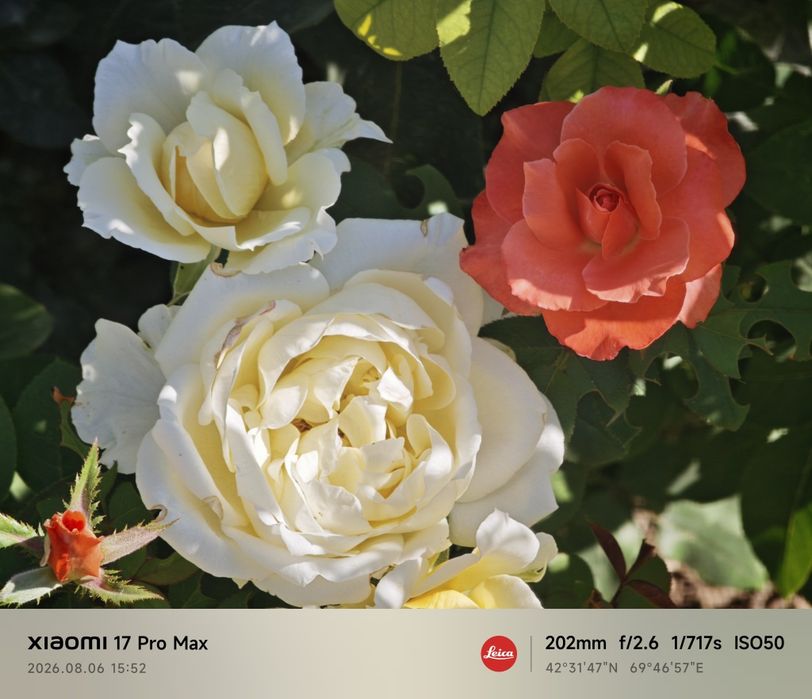 Xiaomi 17 pro max