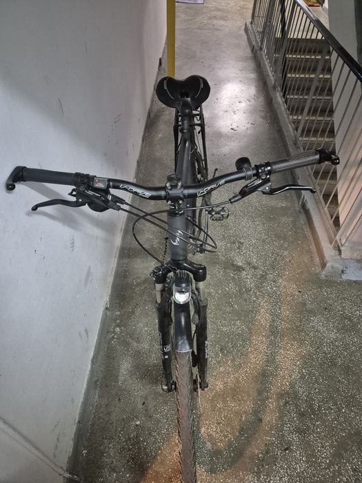 Bicicleta Berner Bergziege - Alfine11