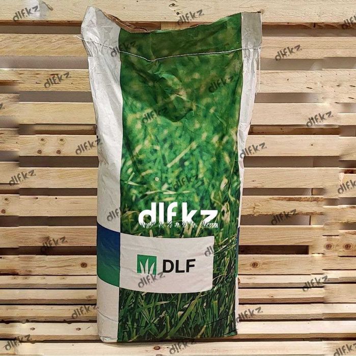 Засухоустойчивый газон Алматы