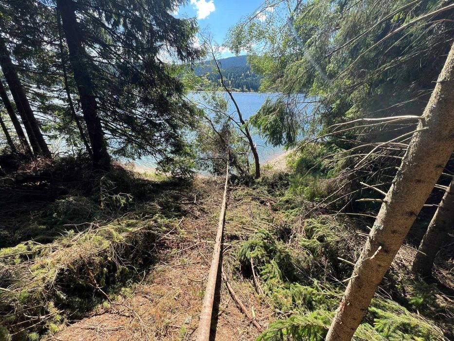 Vând o bucată de paradis pe malul Lacului Beliș - 1000 mp