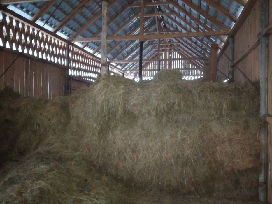 vand lucerna si otava nebalotate