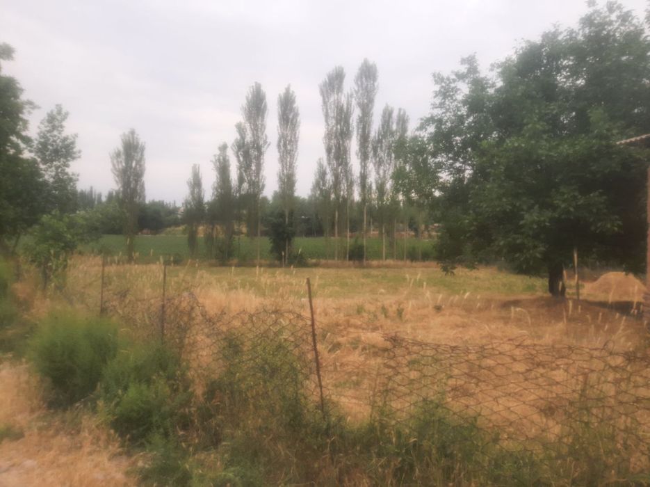 Uchastka sotiladi Pul kerak bulib qoldi. Xujjatlari joyida