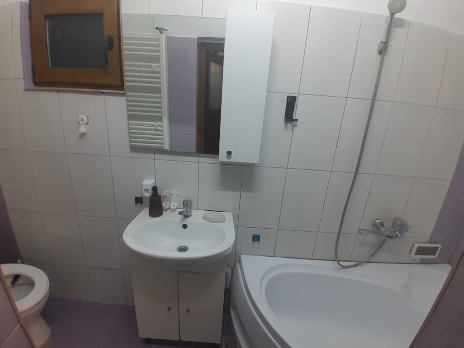 Garsoniera la curte de inchiriat