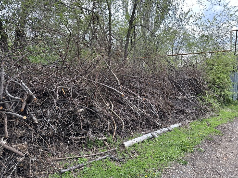 Плодовые дрова, ветки