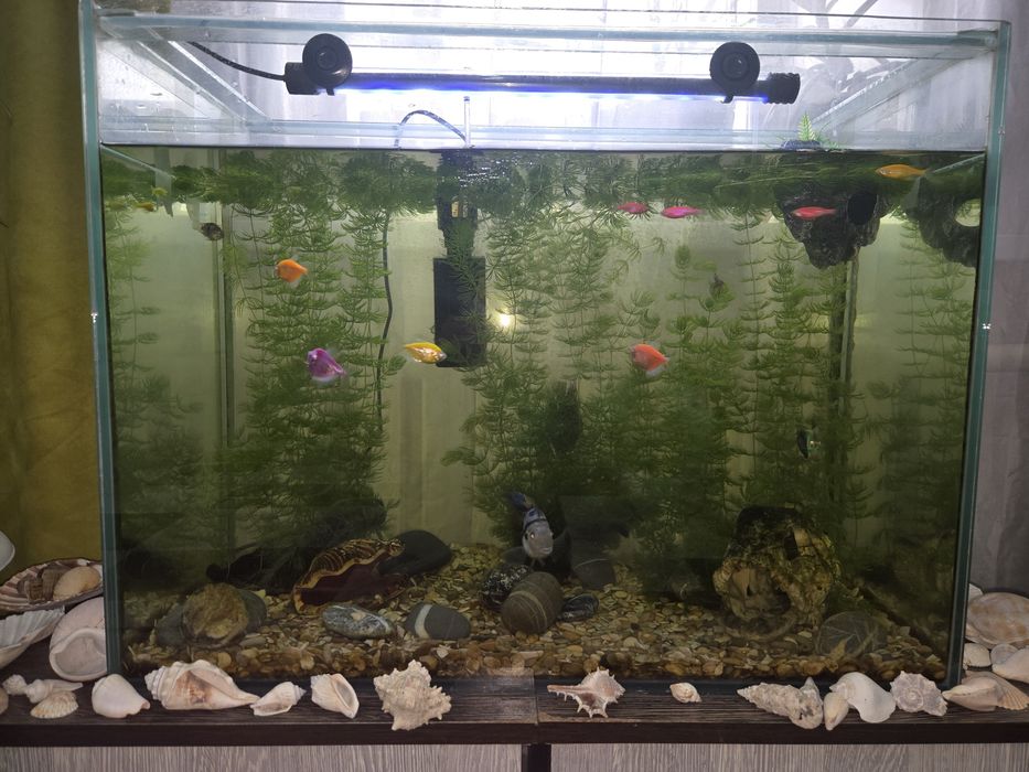 Продам аквариум 100 литров
