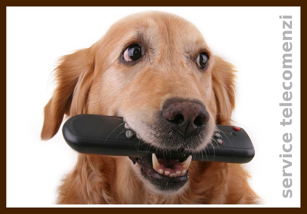 Telecomanda pentru orice TV . Vanzari, verificari, reparatii Brasov