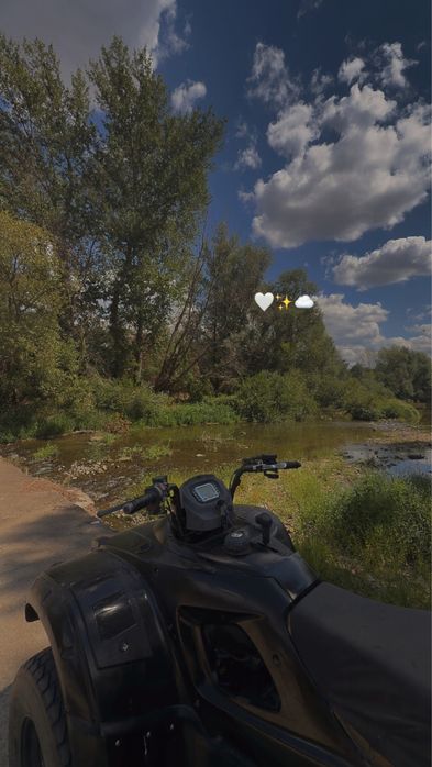 Atv TGB blade 325