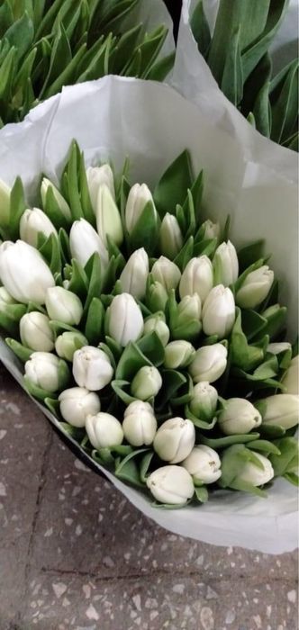 Тюльпаны на 8 Марта с оформлением 370