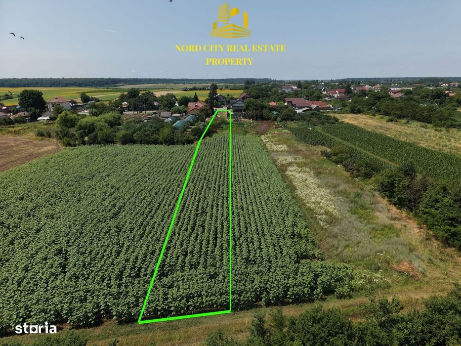 Teren 2.700 mp Ciocănești - Urziceanca | La asfalt
