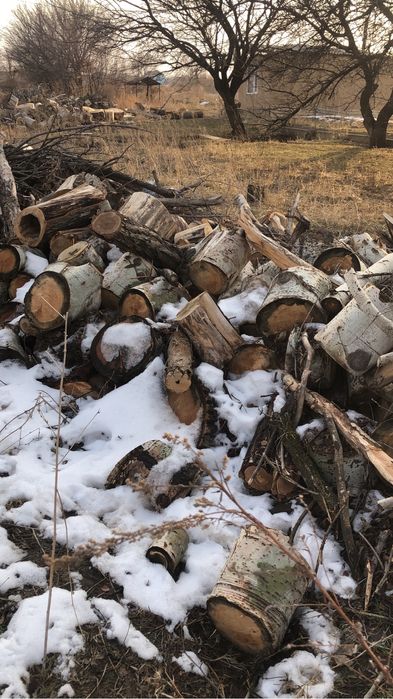 Дрова для шашлыка и бани