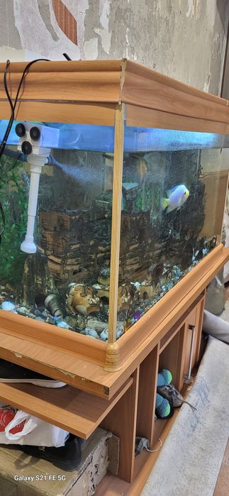 Аквариум для дома