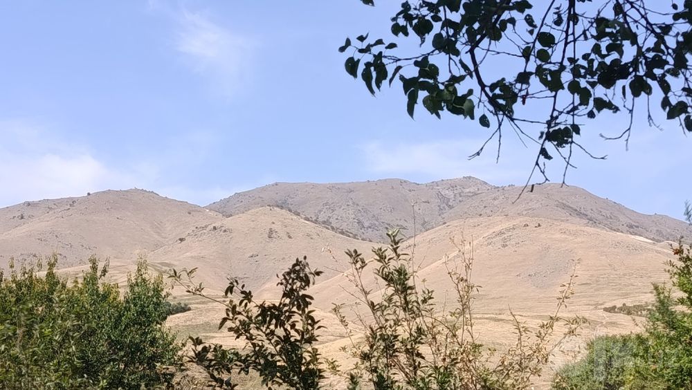 yer uchastka sotiladi