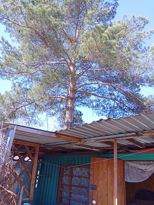 Продам дачу в городе