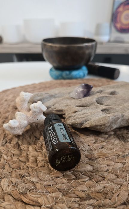 Ulei DoTerra SIBERIAN FIR 15ml, NOU