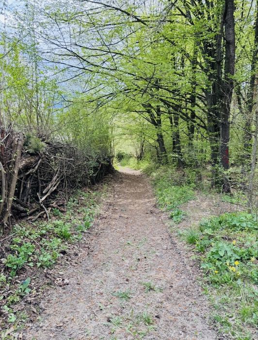 Teren Hangu - Bicaz, intravilan, acces drum principal DN, plan drept