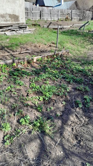 Продам дачу на 4 районе (два участка)