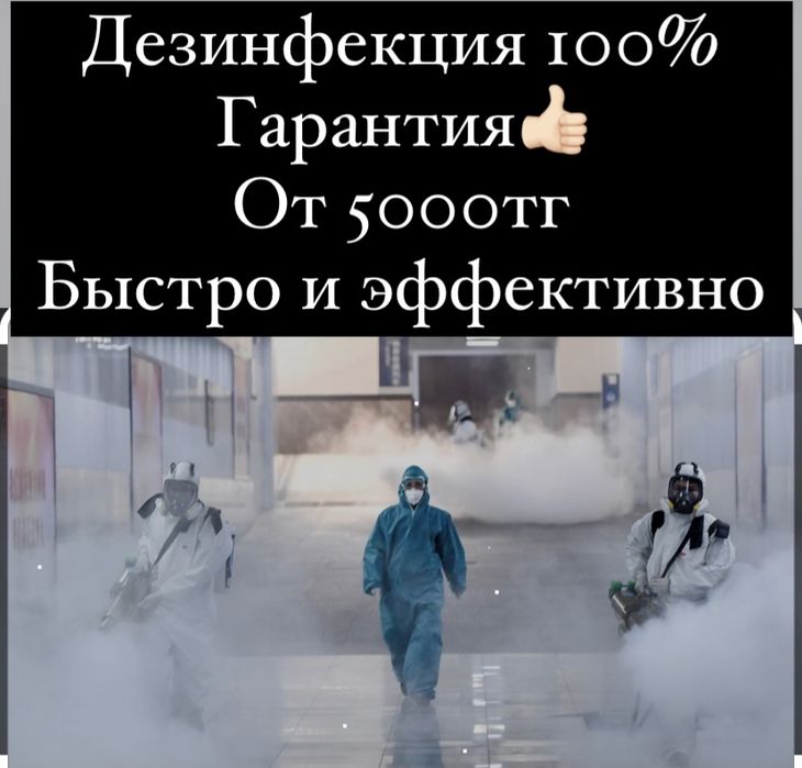Дезинфекция от клопов тараканов шымкент кандала холодный туман
