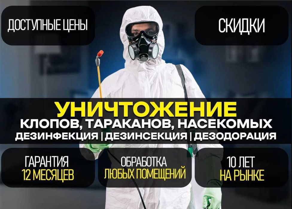 уничтожение мышей в Ташкент, Услуги по дератизации крыс и мышей