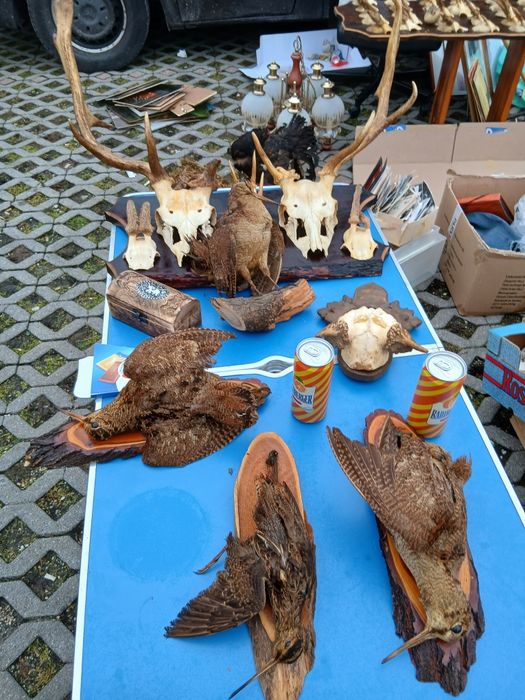 Vand decoratiuni pentru foiṣor