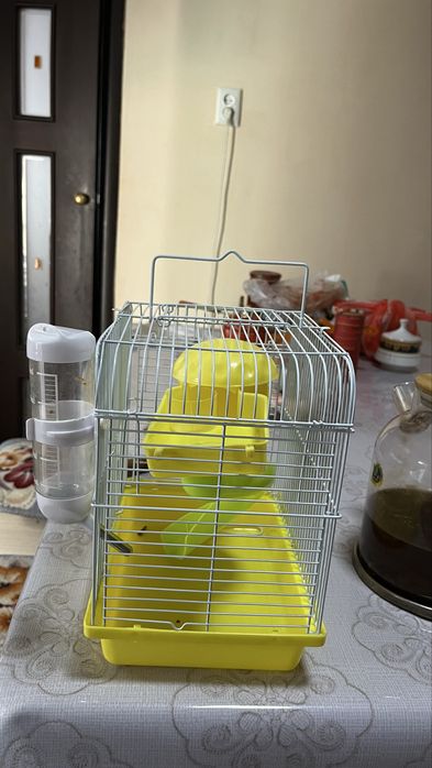 продам  домик для хомяка/крыс