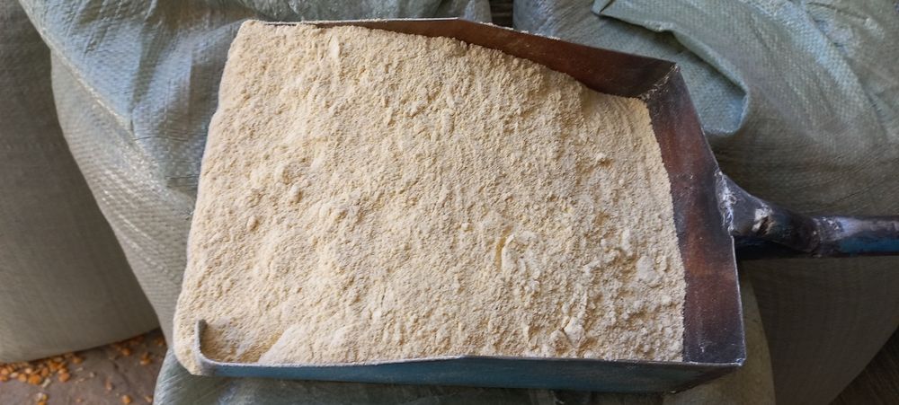 Маккажухори ун бор ем