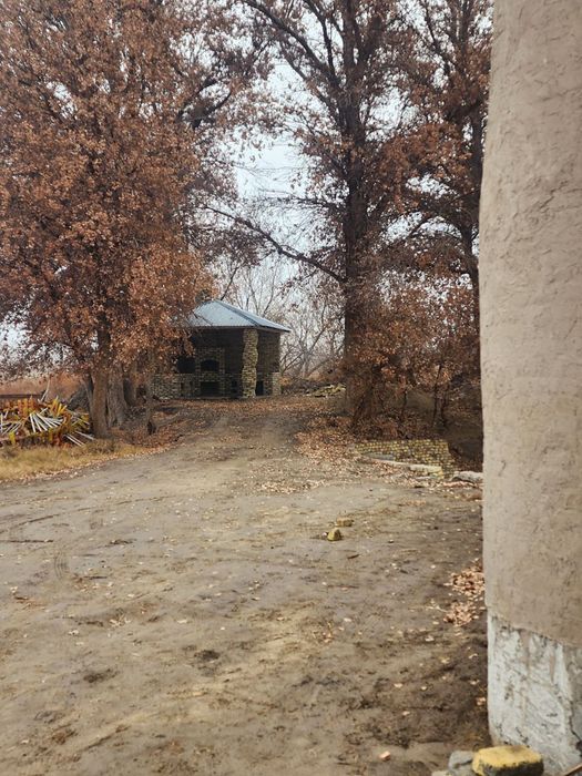 Xiva shaxrida tayyor bigness sotiladi