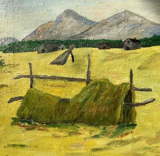 Scoala maghiara. U/pz 50 cu 35 cm +r . "COLIBE"