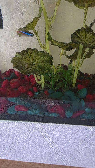 Продам аквариум со всем содержимым