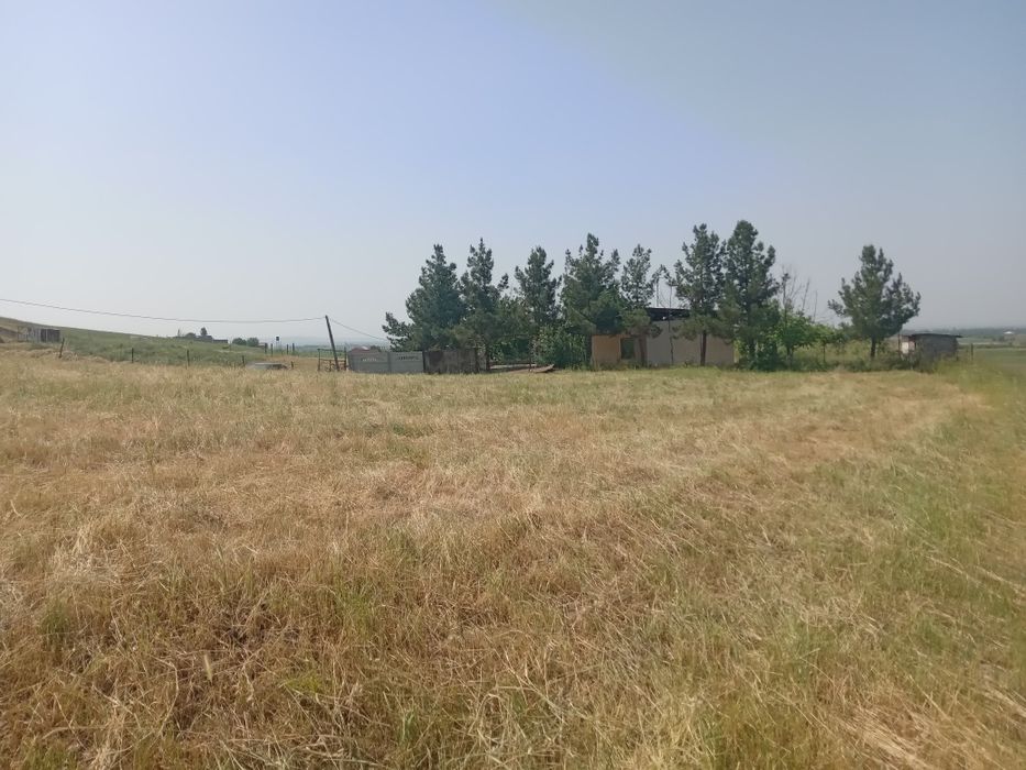 Dachniy yer sotladi 6 sotik
