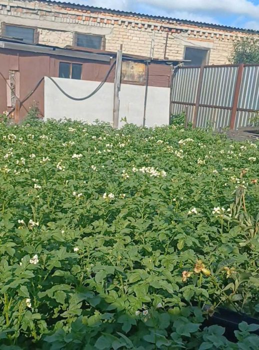 Дом в районе Зайсана