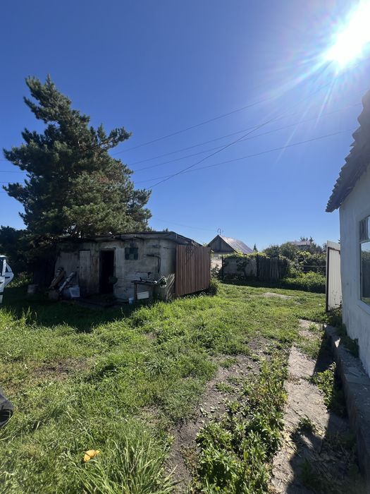 Дача в Бухтарме