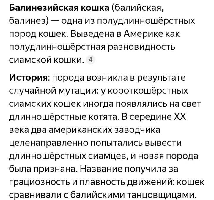 Уникальные котята