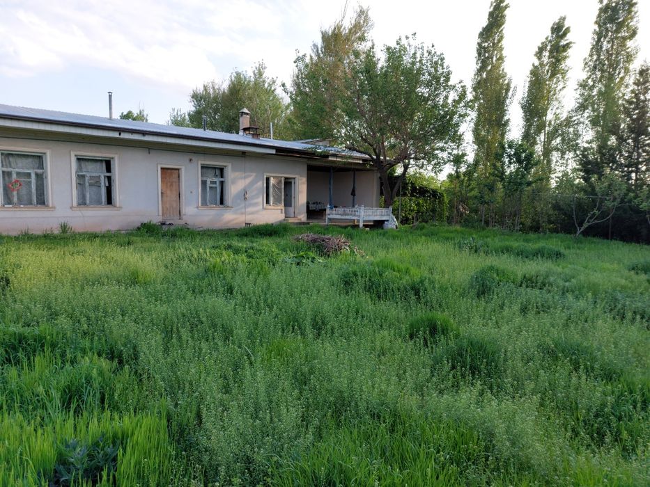 Dacha uchun er sotiladi